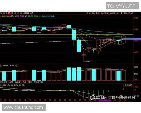 南京羽毛球队与广州羽毛球队赛后复盘分析比赛节奏与战术对比